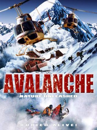 image: Alerte : avalanche !