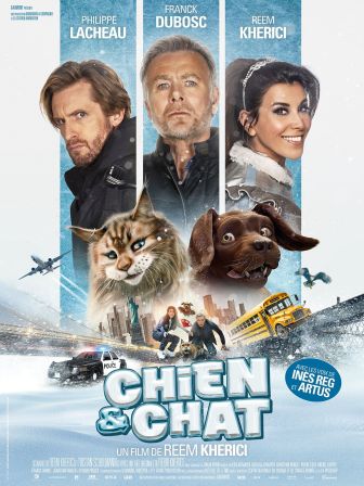 image: Chien et chat