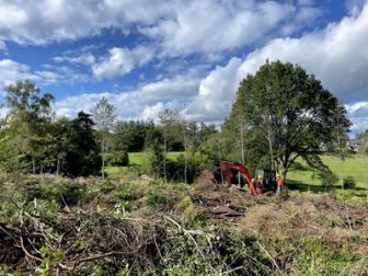 image: Forêts françaises, en quête d'avenir