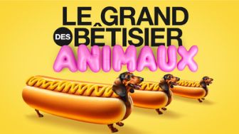 image: Le grand bêtisier des animaux