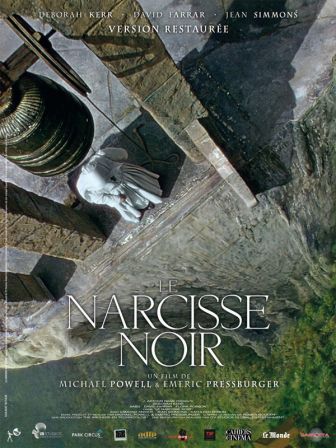 image: Le narcisse noir