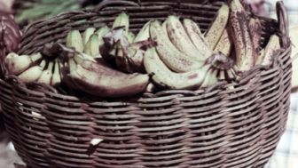 image: Les Antilles empoisonnées, la banane et le chlordécone