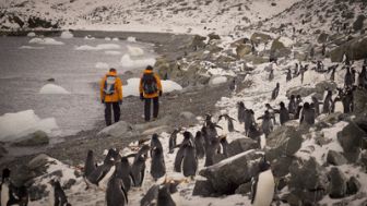 image: Les sentinelles de l'Antarctique