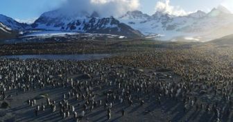 image: Nature : pour une réconciliation